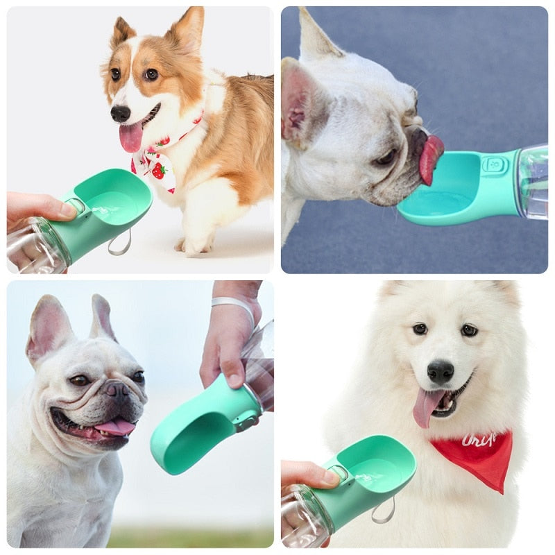 Hundhydrierer