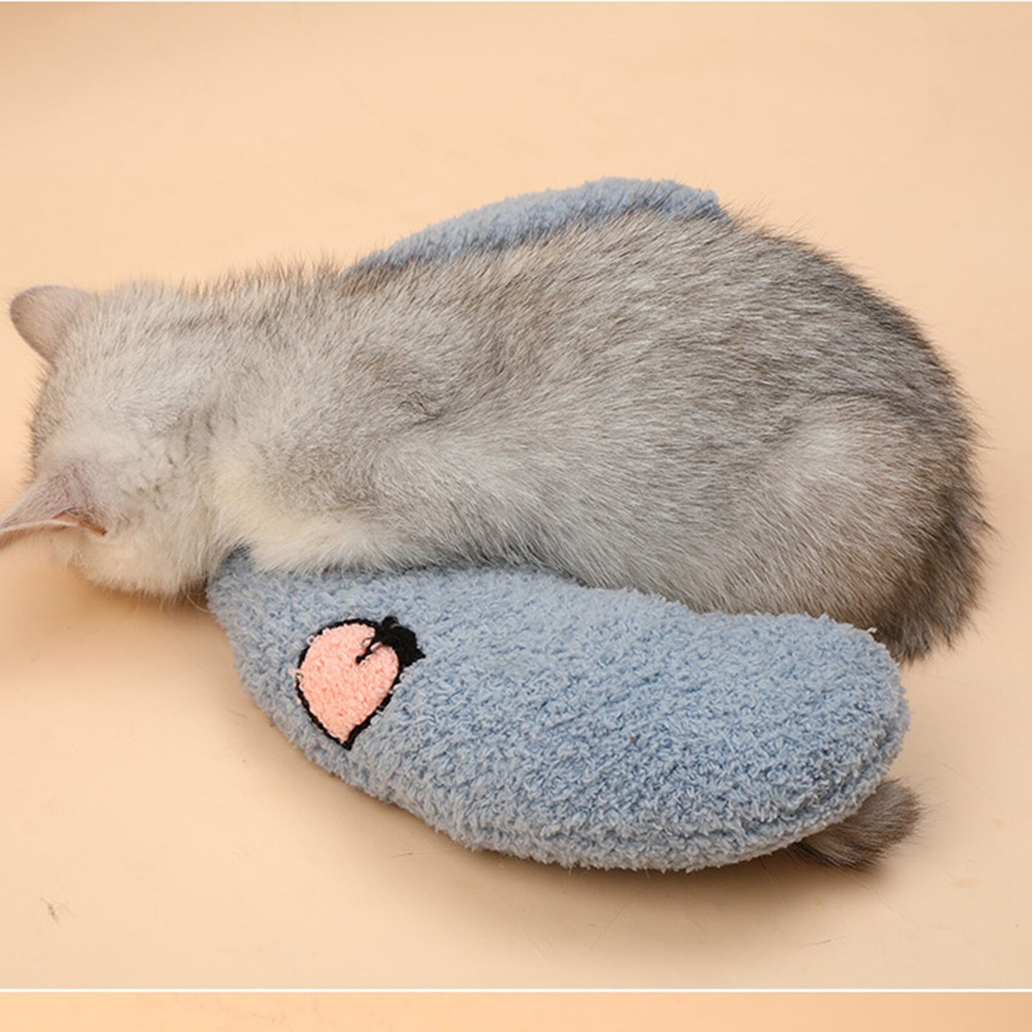 Softykitten
